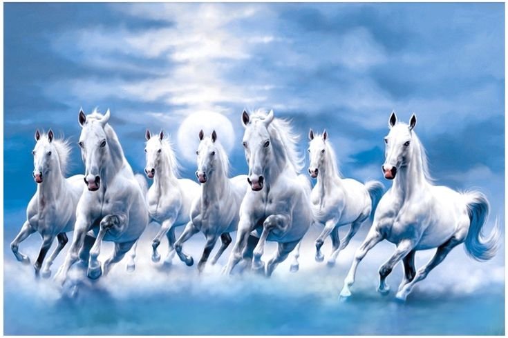 White 7 horse